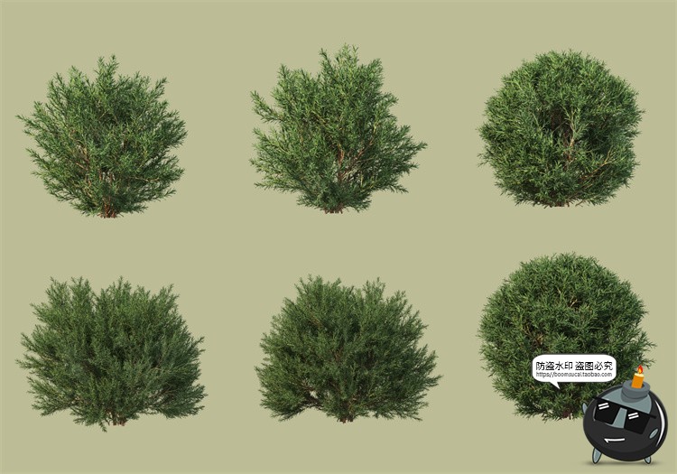 景观绿化灌木草类园林植物绿植后期装饰PSD模板源文件分层PS素材